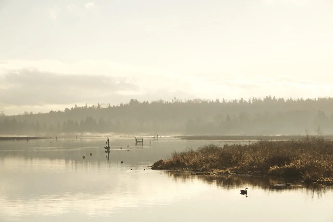 Skyline of Burnaby, British Columbia, Canada — fence supply, rental and installation by Fenced.ca
